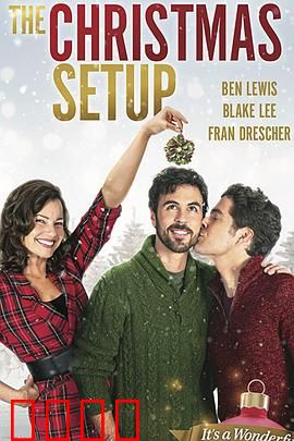 圣诞速配：爱情奇迹夜